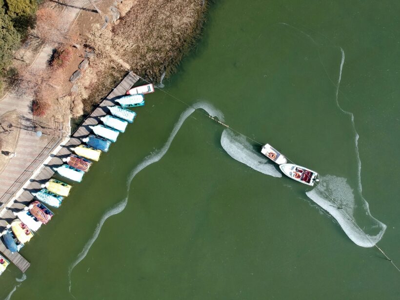 2018.01.26. 얼어붙은 덕진연못.