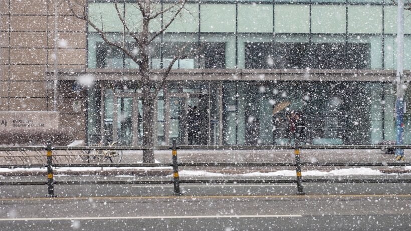 2018.02.12. 와 눈 겁나게 와분다