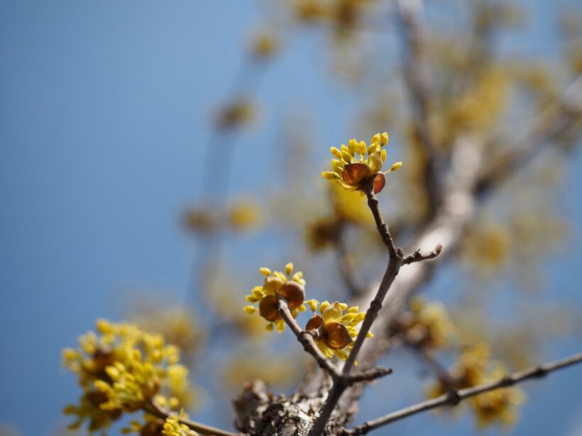 2018.03.14. 더운 봄날