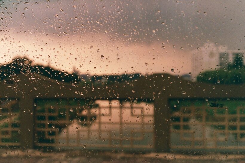 한여름의 아그파 비스타 200 세 롤.(/w pentax mx, canon eos-1)