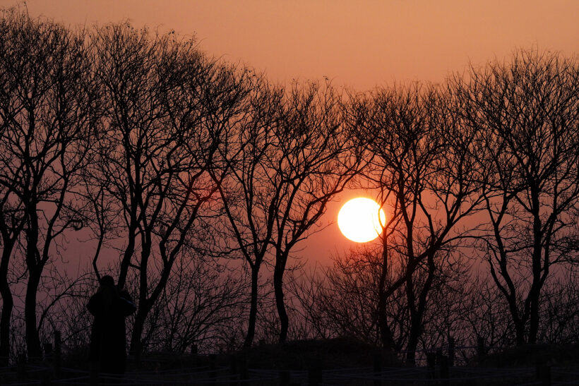 반복되는 것, 반복되지 않는 것. @하늘공원.