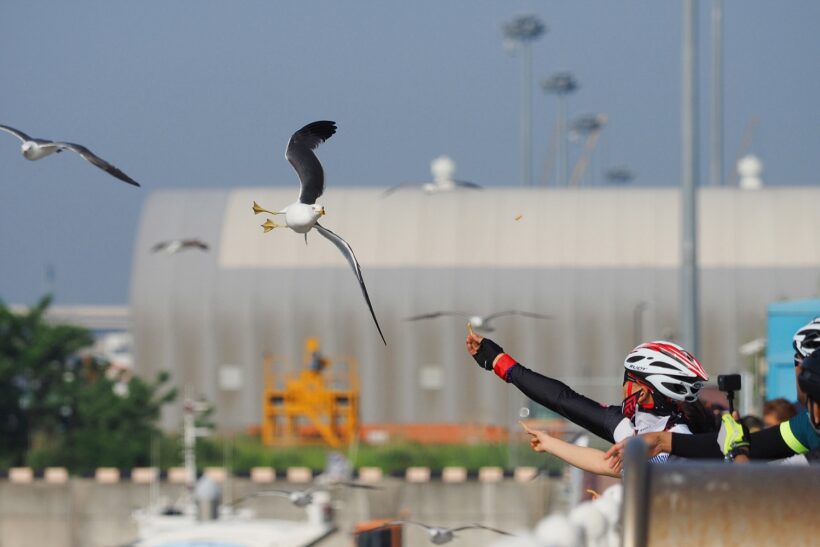 인간의 마음도 털갈이를 한다. @인천 정서진