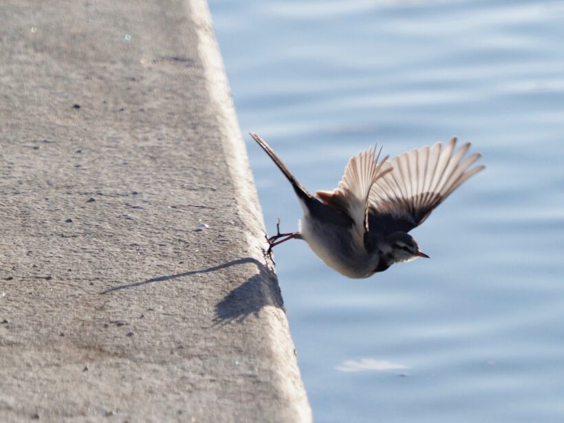 2021년을 보내며-제정신으로 살기가 이렇게 힘들지만