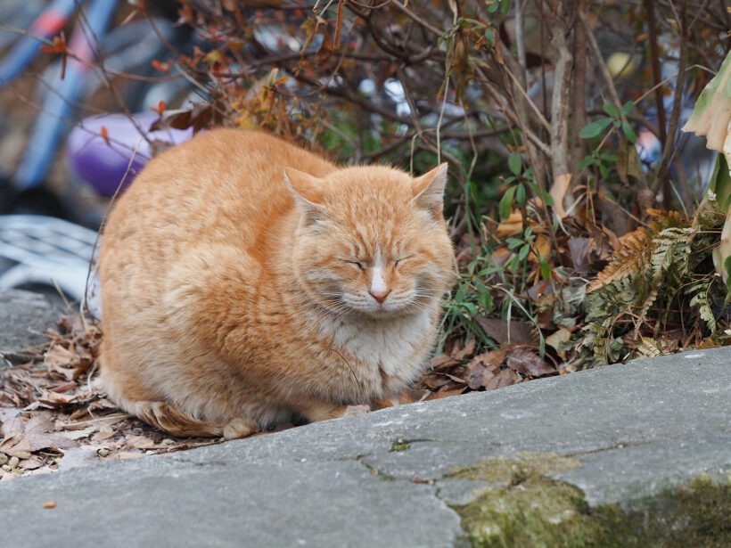 2023.01.23. 새해, 길지는 않았던 연휴를 보내고