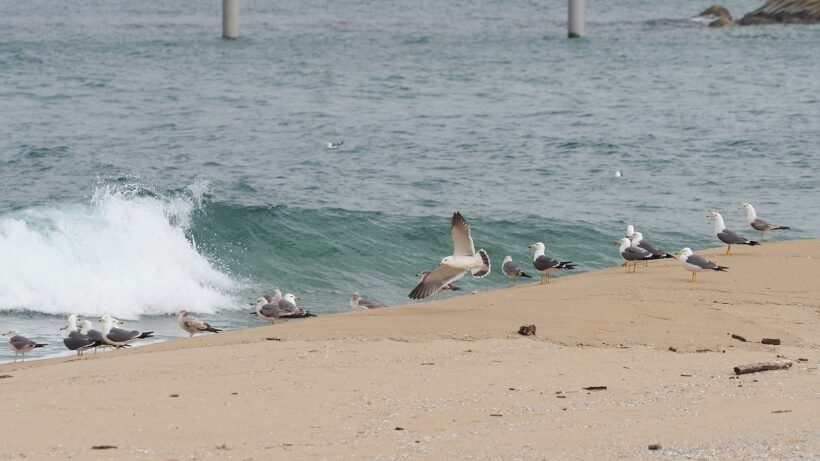 경계 안에서 경계를 넘다 말다 @강릉 정동진